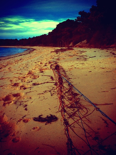 iPhone Project 365: Day 123: After the Storm, Bundeena