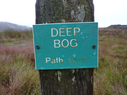 Deep Bog