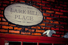 Lark Hill Place