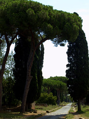 Rome 2011 - Along the Via Appia Antica