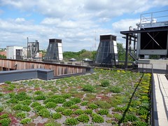 green roof, Washington, DC (via Richard Sebaka)