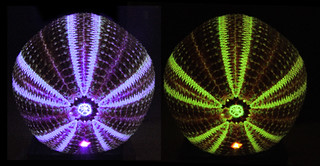 Sea Urchin laser fluorescence
