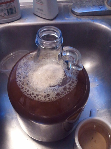 Yeast pitched