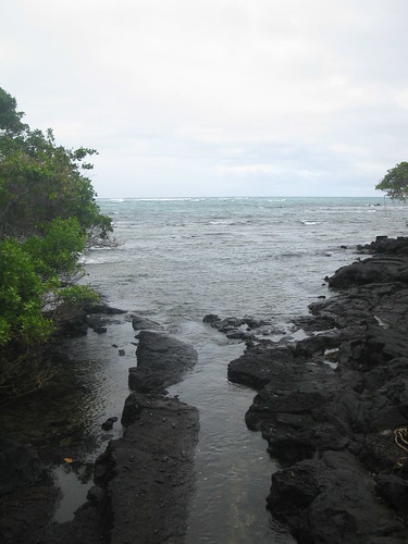 basalt, water, waves, and mangroves