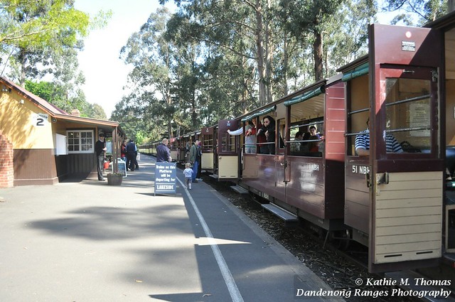 On the Puffing Billy