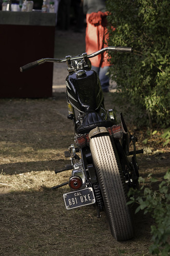 Harley Rear by Ollie B.
