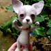 needle felted chihuahua 8