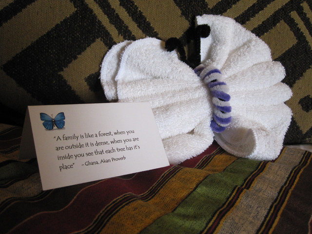 Towel Butterfly!