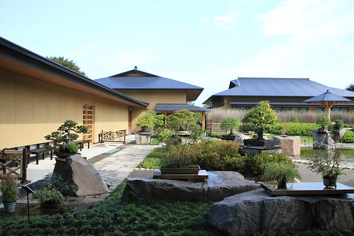 盆栽美術館 - bonsai museum