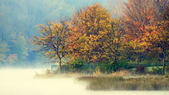 Pennsylvania Fall Foliage 2011