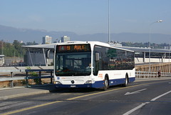 Genève (CH) TPG Autobus