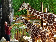 Aug. 20, 2011-Boise Zoo & Depot