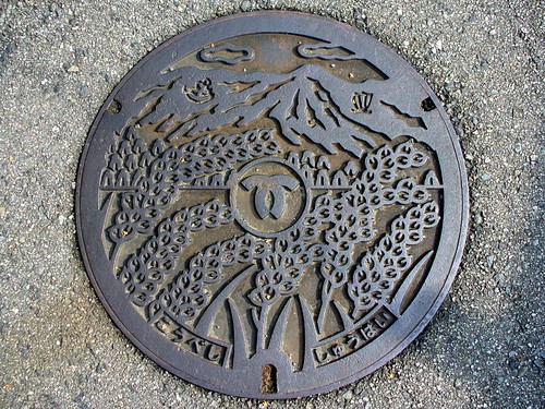 Kobe Hyogo manhole cover2（兵庫県神戸市のマンホール２）