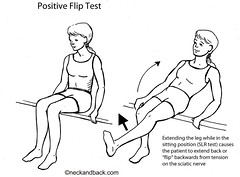 Flip Test