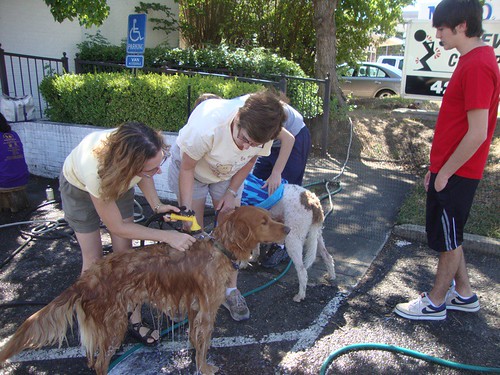 Shreveport Dog Park Alliance  by trudeau