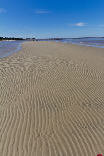 photo of a sandy shore