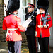 Guards of England :)