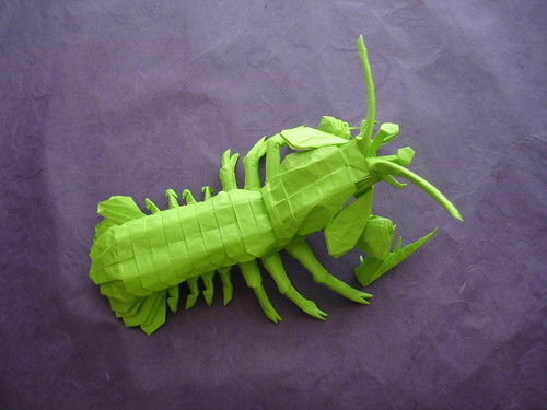 Mantis Shrimp -Ermakov