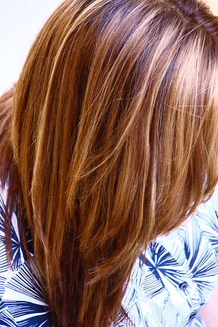Warm Brown with blonde and honey highlights | Flickr - Photo Sharing!
