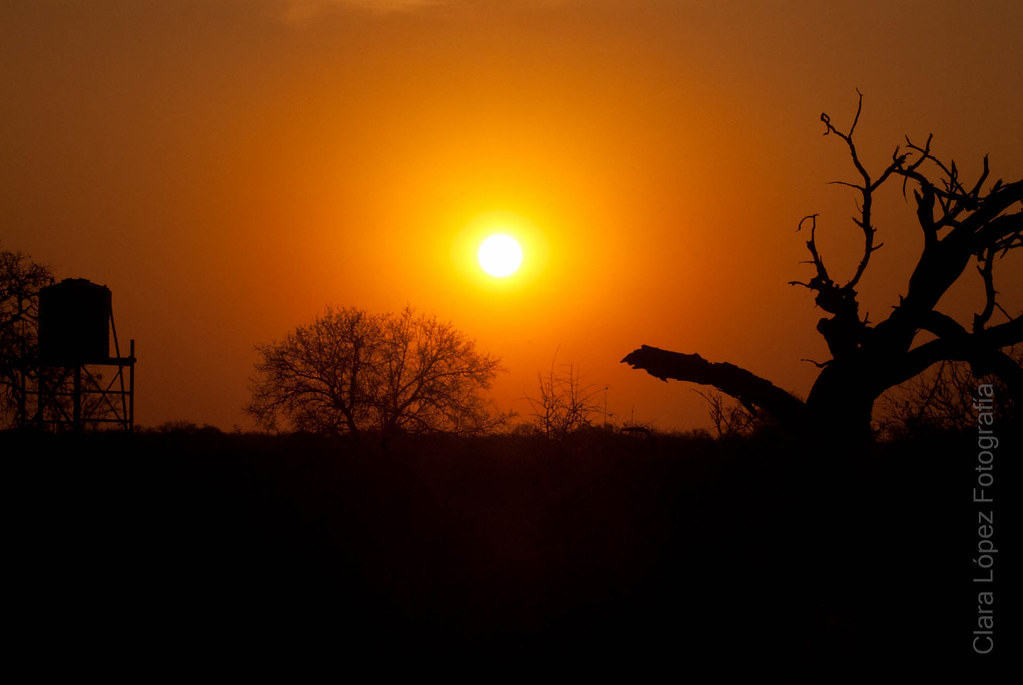 Puesta de sol en Kruger