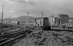 Mid-1980s Tasrail in Black and White