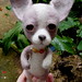 needle felted chihuahua 7