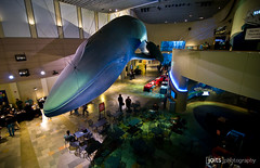 Photographer's Night Long Beach Aquarium