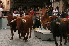 Toros y fiestas populares de España