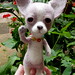 needle felted chihuahua 15