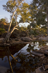 mawson plateau 2011