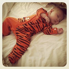 Even Tigger needs to nap sometimes!