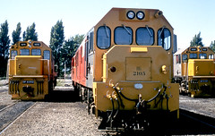 NZR Locomotives: DG