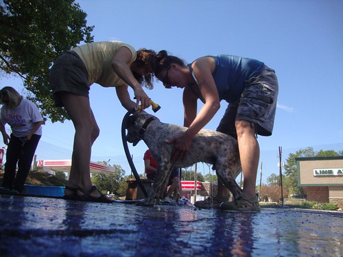 Shreveport Dog Park Alliance benefit by trudeau
