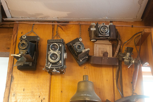 Vintage Cameras at The Lobster Shack