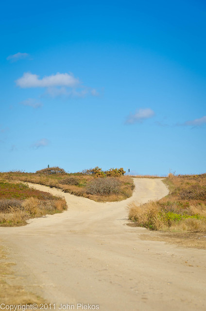 Day 156/September 19 - Two roads diverged in a wood...