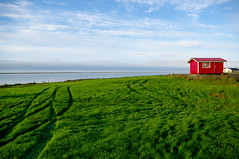 Farm campsite,
facing the Bay