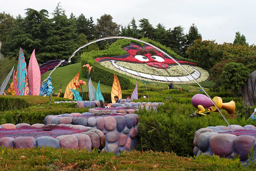 View across Alice's Curious Labyrinth