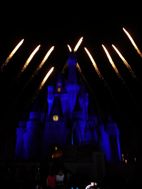 Cinderella's Castle - Wishes Fireworks