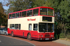 TM Travel Bus Photos