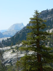 Other Side of Half Dome