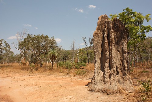 Kakadu National Park, Northern Territory (Australia)