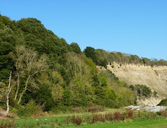 Barry & Porthkerry Country Park