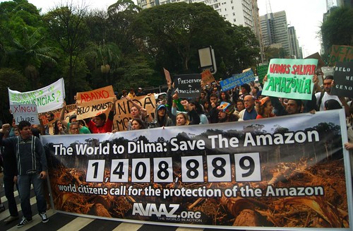 The World to Dilma: Save the Amazon