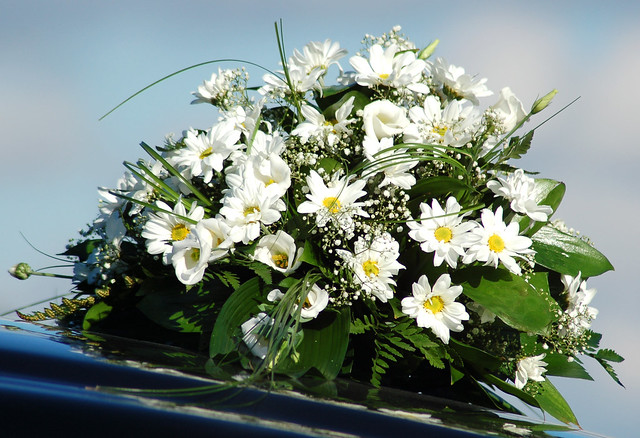 This is a beautiful daisy wedding centerpiece of wholesale wedding flowers