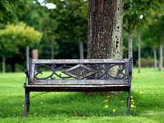 Benches and Chairs