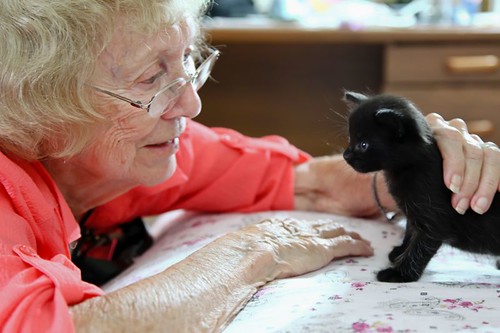 Old Women and Kitten