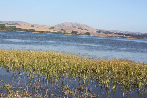 Tomales Bay, Inverness