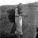 Woman in Skye, Inverness-shire, knitting as she walks, c. 1905