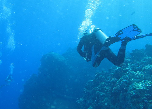 Diving is something Australia can offer lots of