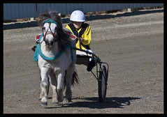 Redcliffe Mini Trots 13th August 2011